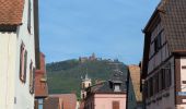 Tour Wandern Sankt Pilt - St-Hippolyte - Rorschwihr - Grasberg - Bergheim - Reichenberg - Rodern - Photo 5