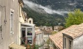 Excursión Senderismo Sumène - Sumene , le pont des chèvres - Photo 2