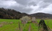 Tocht Stappen Luik - Giboulées à Colonster  - Photo 17