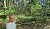 Tour Wandern Heers - Wikiloc Hornebos  (PVDB) - Photo 10
