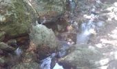 Trail Walking Fraisse-sur-Agout - Saut de Vezole - Pissarol  - Photo 2