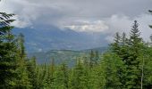 Trail Walking Crots - Abbaye de Boscodon (Hautes Alpes) - Photo 4