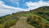 Tour Wandern Val-d'Aigoual - Col de l'Homme mort - Pont Moutonnier - Photo 2