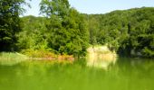 Trail Canoe - kayak Fribourg - Freiburg - padel - Photo 9