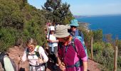 Excursión Senderismo Le Pradet - cap Carqueiranne-bau rouge-La mine - Photo 2