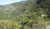 Trail On foot Sospel - Tour du mont Grazian - Photo 5