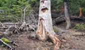 Excursión Senderismo Aussois - sentier des sculptures - Photo 17