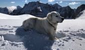 Randonnée Marche Saint-Dalmas-le-Selvage - Col du petit Valoar  - Photo 4