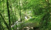 Trail Walking Soulom - Ortiac- Abbayie St Orens - Photo 5