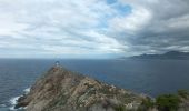 Trail Walking Calvi - Tour de la Revellata - Photo 7