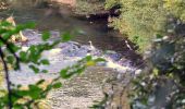 Tour Wandern Les Arcs-sur-Argens - Trace_Les_Arcs - Photo 15