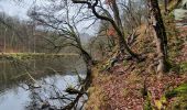 Tour Wandern La Roche-en-Ardenne - rando warempage 10/12/2020 - Photo 14