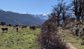 Trail Walking Corscia - Corscia par l’ancienne Scala, retour par les gorges de la Ruda - Photo 2