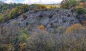 Tour Wandern Dinant - La promenade du Parc Naturel de Furfooz - Photo 9