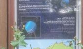 Tour Wandern Binic-Étables-sur-Mer - GR_34_CE_18_Binic-Etables-Sur-Mer_Treveneuc_20240526 - Photo 6