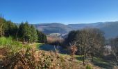 Trail Walking Bouillon - Rochehaut 110124 - Photo 1