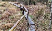 Tocht Stappen Gouvy - Promenade vers la réserve naturelle 