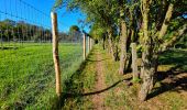 Tour Wandern Floreffe - Marche Adeps à Floreffe - Photo 11