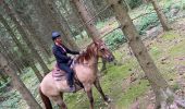 Trail Horseback riding Roybon - Roybon  - Photo 14