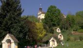 Tour Zu Fuß Hartberg - Hartberger Höhenweg - Photo 8