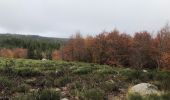 Trail Walking Pont de Montvert - Sud Mont Lozère - Masméjean / le pont du Tarn - Photo 7