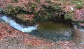 Trail Walking Aywaille - sedoz - vert-buisson (via ninglinspo) - porallée - vieux chera - sedoz - Photo 17