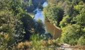 Tour Wandern Chiny - Chiny 190924 - Photo 13