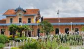 Tocht Andere activiteiten Arcachon - Arcachon - Ville d'hivers en train - Photo 2