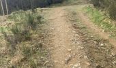 Trail Walking Stavelot - Stavelot- Chemin des source  14 Km - Photo 15