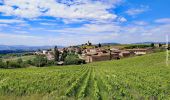 Excursión Senderismo Val d'Oingt - Saint-Laurent d'Oingt - Oingt, Plus beau Village de France - Photo 1