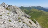 Tour Wandern Saint-Jacques-des-Blats - Puy Griou depuis le Col de Font de Cère - Photo 13