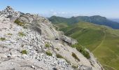 Randonnée Marche Saint-Jacques-des-Blats - Puy Griou depuis le Col de Font de Cère - Photo 13