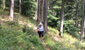 Trail Walking Breitenau - Fouchy  - Photo 5