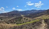 Trail Walking Banyuls-sur-Mer - banyu - Photo 1