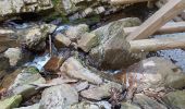 Tour Wandern Aywaille - en remontant l'Amblève et en redescendant le Ninglinspo - Photo 4