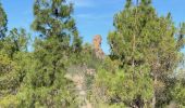 Trail Walking Tejeda - Pico de las Nieves (Gran Canaria) - Photo 3