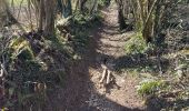 Trail Walking Fumichon - Fumichon - Photo 3