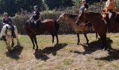 Trail Horseback riding Saint-Léger-de-Rôtes - rando  equestre st leger de roste - Photo 5