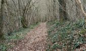 Trail Walking Vauchassis - Bois des Ferrieres - Photo 6