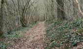 Percorso Marcia Vauchassis - Bois des Ferrieres - Photo 6