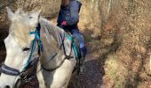 Trail Horseback riding Saint-Martin - Dimanche 25 février 24 aller - Photo 6