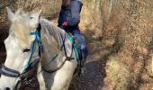 Tour Reiten Saint-Martin - Dimanche 25 février 24 aller - Photo 6