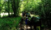 Trail Walking La Chapelle-en-Vercors - La Chapelle en Vercors - Vassieux (Première étape balade ânes) - Photo 4