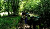 Tocht Stappen La Chapelle-en-Vercors - La Chapelle en Vercors - Vassieux (Première étape balade ânes) - Photo 4