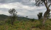 Tocht Stappen Bormes-les-Mimosas - barrage du Trapan - Photo 2