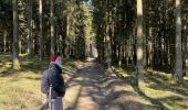 Trail Walking Vielsalm - Vielsam - Photo 15