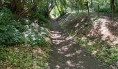 Randonnée Marche Braine-l'Alleud - BE-Braine-l'Alleud - BSI - Promenade du Seigneur Isaac - Photo 7