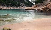 Tocht Stappen Cassis - Les 3 Calanques coté Est - Port Miou - En Vau - Port Pin - Photo 20