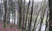 Percorso Marcia Vresse-sur-Semois - Alle-sur-Semois - Photo 6
