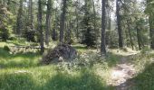 Trail Walking Crots - boucle du lac de Lauzerot via Les Gendres . cabane à Jules . clôt Besson . lac . les Gendres - Photo 1